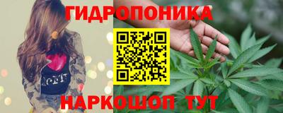 индика Северобайкальск