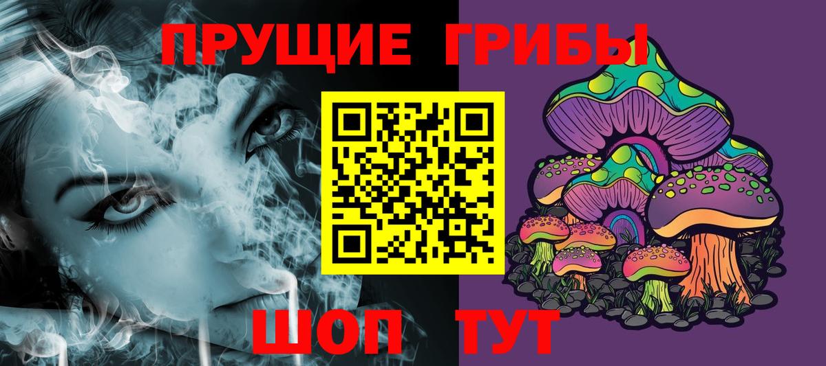 Малоярославец  Галлюциногенные грибы GOLDEN TEACHER  Вход с VPN 